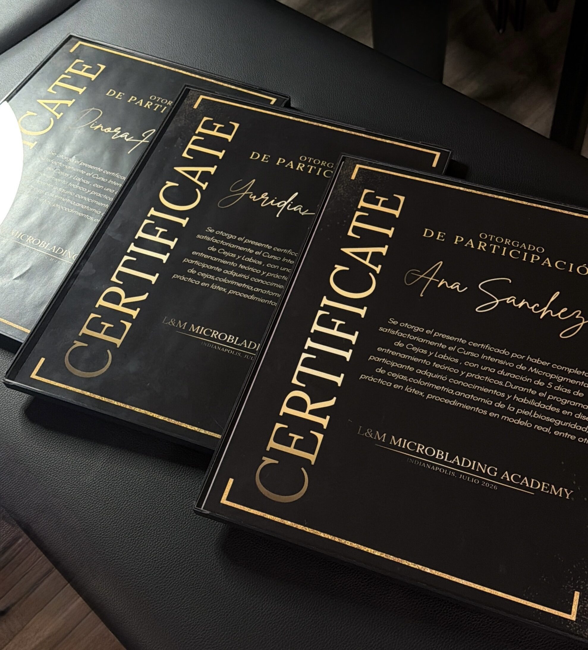 Powder Brow Certification Course
